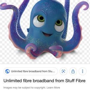 Meet your Posher, Riley